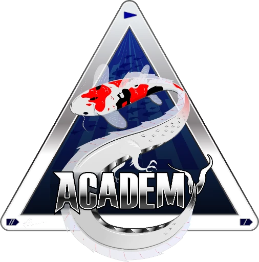 PainsAcademy emblem